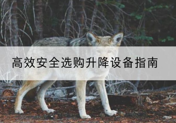 密山升降货梯厂家推荐-*安全选购升降设备指南