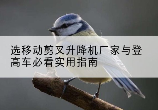 密山电动升降机厂家-选移动剪叉升降机厂家与登高车必看实用指南