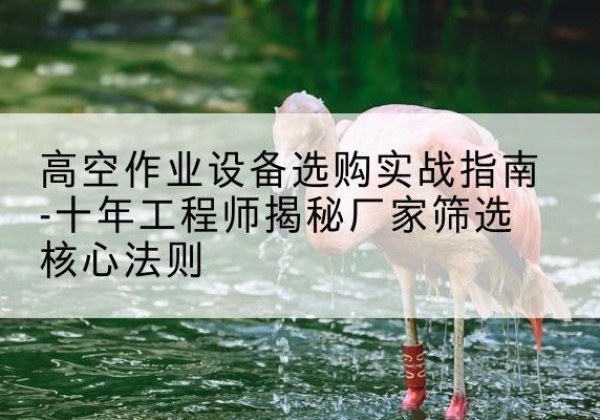 密山剪叉式升降机厂家-高空作业设备选购实战指南-十年工程师揭秘厂家筛选核心法则